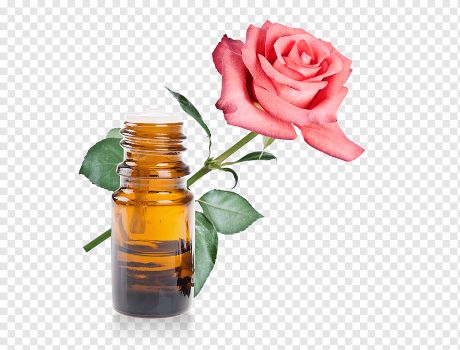 Rosa-damascena-Rose-oil-Essential-oil-2.jpg