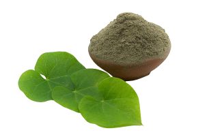 Tinospora-cordifolia-Gilloy-natural-herbal-extract-2.jpg